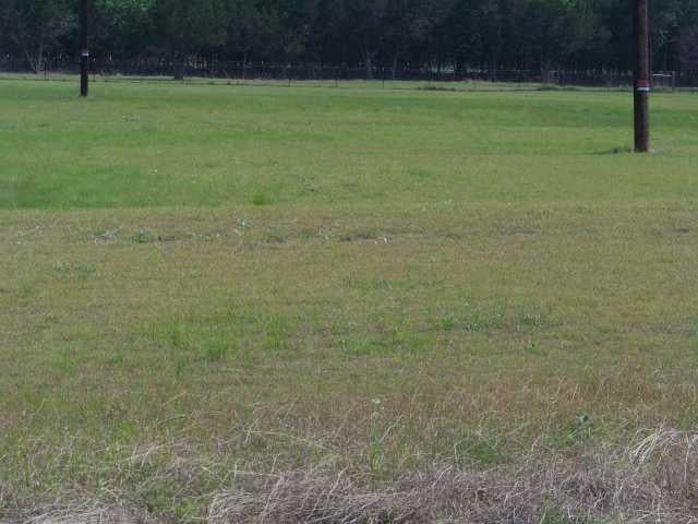 View 1556 County Road 228 1556 County Road 228 - front exterior - Luxury lot in Florence, TX