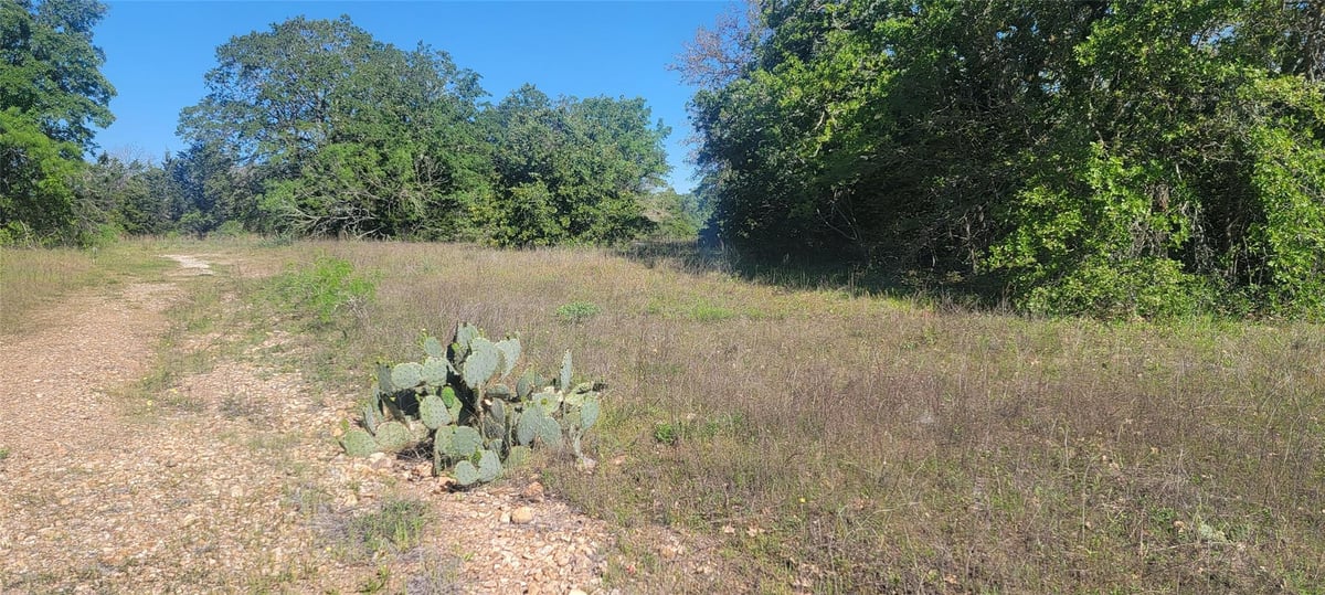 View 156 Lone Star CIR in Rousseau, Mozea 156 Lone Star CIR - front exterior - Luxury lot in Rousseau, Mozea, Bastrop, TX