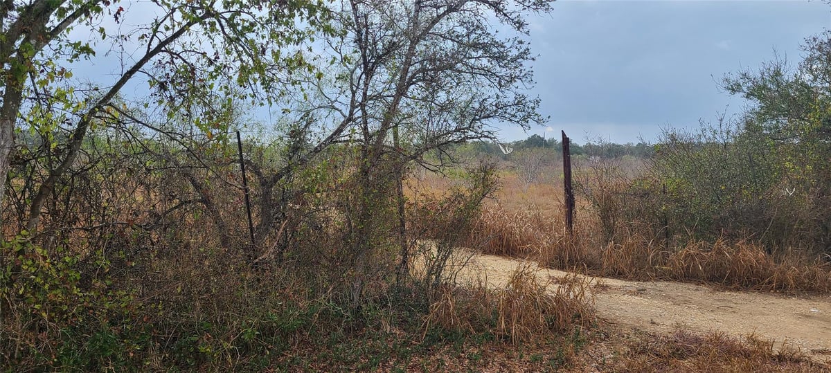 View 1560 Chalk Rd in Noahs Land 1560 Chalk Rd - property photo 1 - Luxury lot in Noahs Land, Harwood, TX
