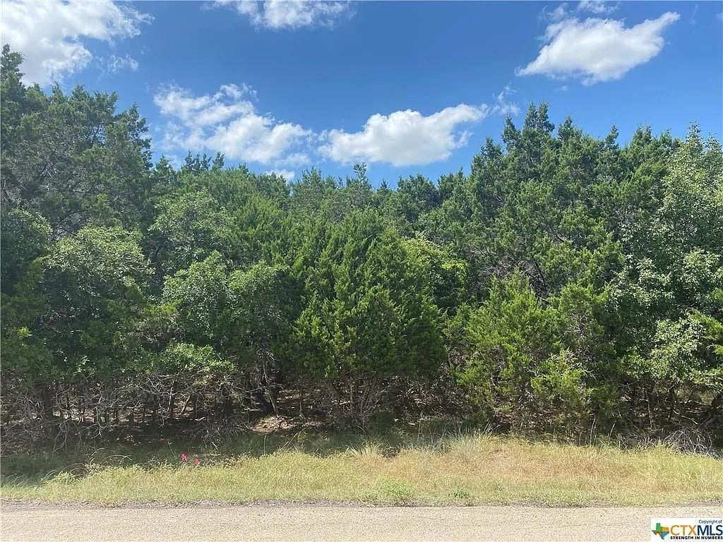 View 15758 Salado Dr in Tanglewood 15758 Salado Dr - front exterior - Luxury lot in Tanglewood, Temple, TX