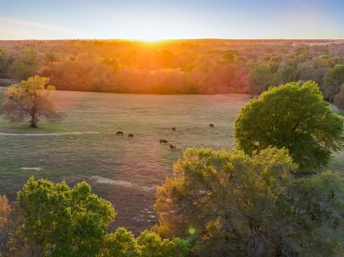 View 1580 County Road 377 in Other 1580 County Road 377 - front exterior - Luxury home in Other, Caldwell, TX