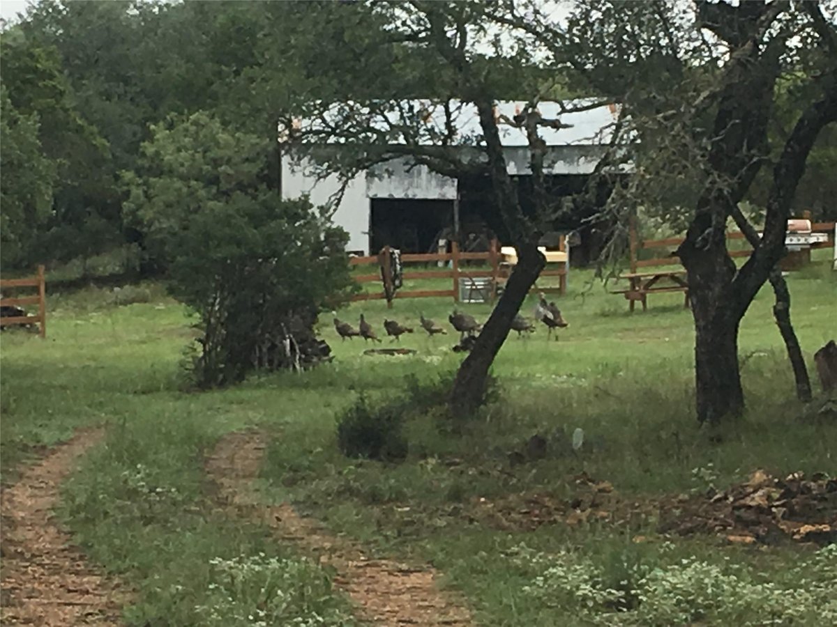 Kitchen at 1595 Skyridge Rd - Smith Ranch, Lampasas, TX