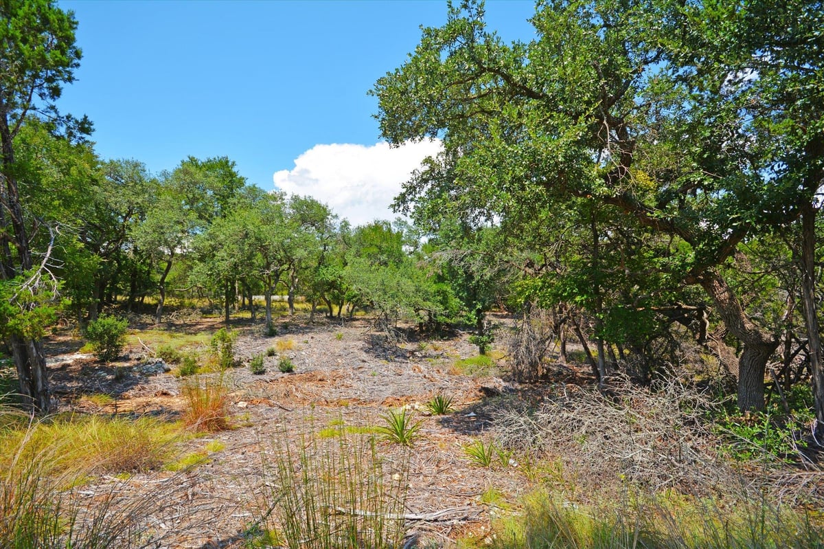 Living area at 16 W EL CAMINO REAL Dr - EAGLE ROCK HEIGHTS, Wimberley, TX