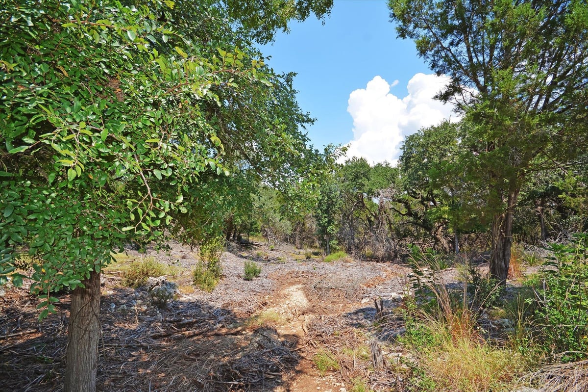 Primary bedroom at 16 W EL CAMINO REAL Dr - EAGLE ROCK HEIGHTS, Wimberley, TX
