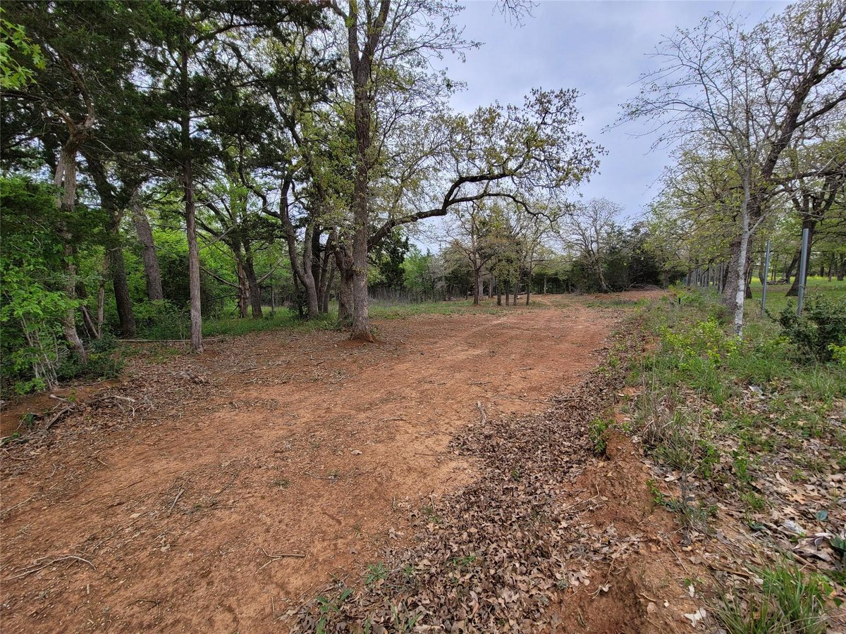 160 Arbor Hill WAY - property photo 1 - Luxury lot in Arbor Hills, Cedar Creek, TX