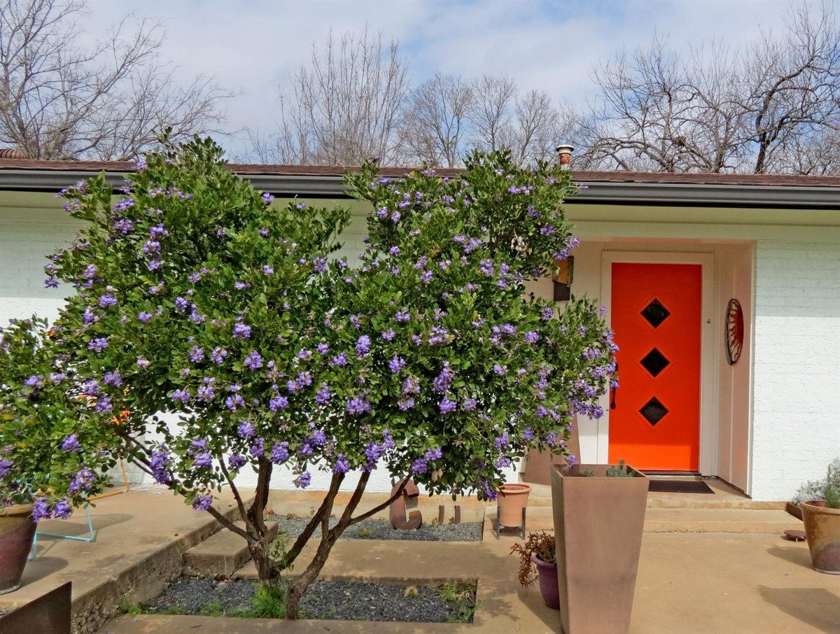Primary bedroom at 1601 E 19th St - 3 bed 2 bath home