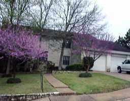 View 1605 Surrey Hl in WOODS OF WESTLAKE 1605 Surrey Hl - front exterior - Luxury home in WOODS OF WESTLAKE, Austin, TX