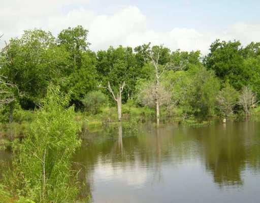 View 1619 Jeddo RD 1619 Jeddo RD - front exterior - Luxury home in Jeddo, TX