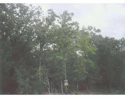 View 162 Branding Iron DR 162 Branding Iron DR - front exterior - Luxury lot in Smithville, TX