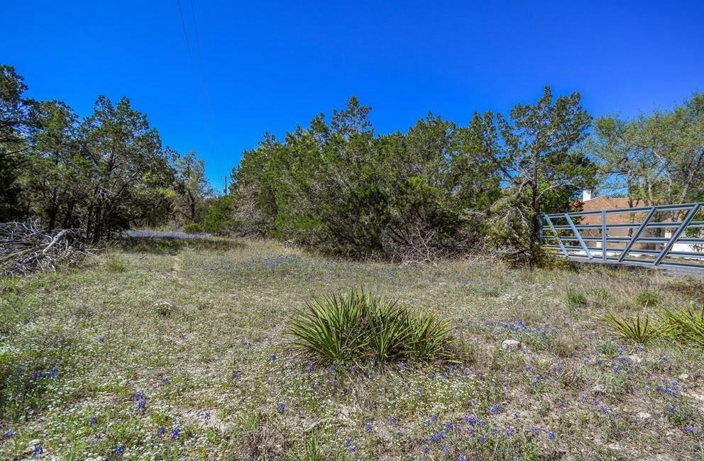 Primary bedroom at 16205 Big Oak Cir - Round Mountain Estates, Leander, TX