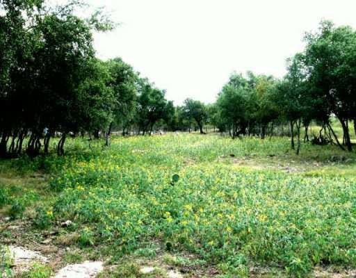 View 16250 Oak Grove RD 16250 Oak Grove RD - front exterior - Luxury lot in Buda, TX