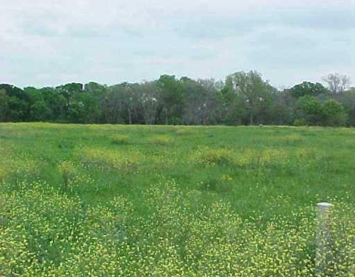 View 163 Brushy CRK 163 Brushy CRK - property photo 1 - Luxury lot in Hutto, TX