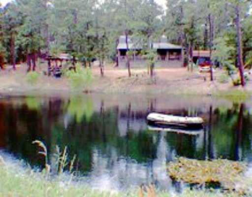 View 1640 Clear Lake Pines Dr 1640 Clear Lake Pines Dr - front exterior - Luxury home in La Grange, TX