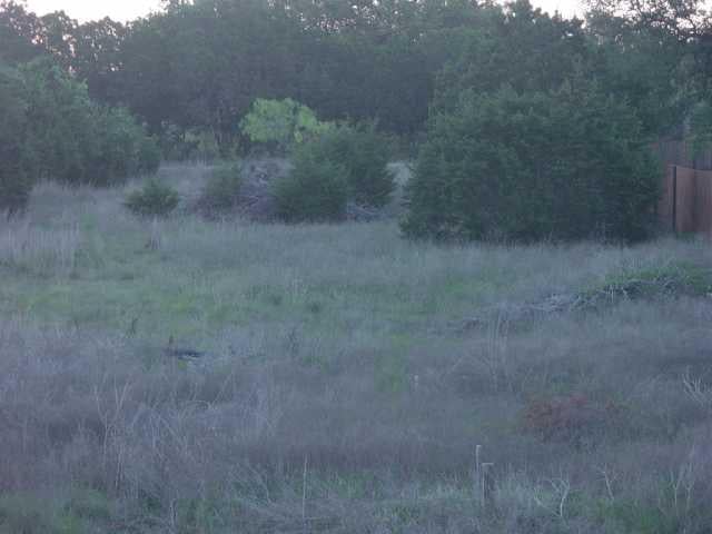 View 16500 Hwy 29 in Liberty Hill 16500 Hwy 29, photo 1, Liberty Hill, Liberty Hill, TX