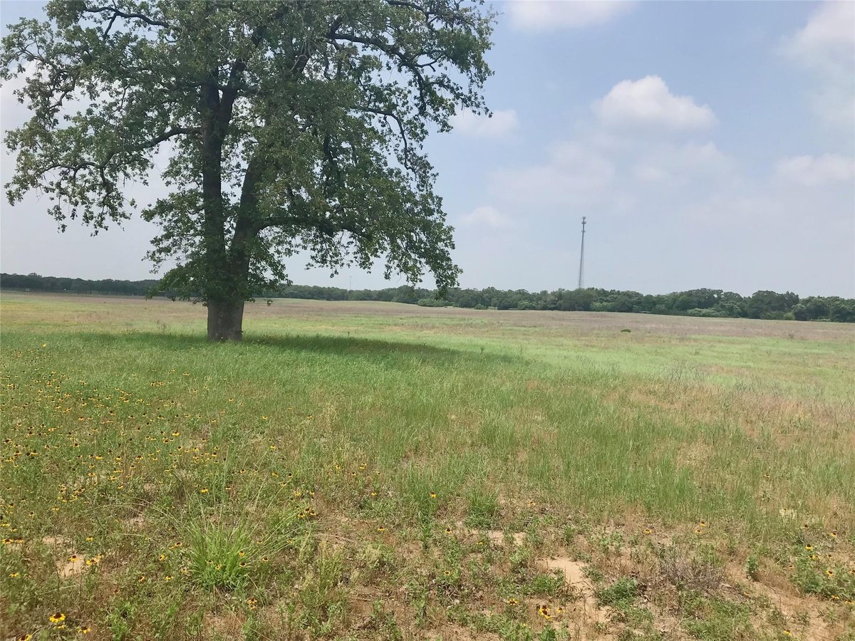 View 1672 Sayers Rd Unit #Tract 1 in Bastrop 1672 Sayers Rd Unit #Tract 1, photo 1 of 15, Bastrop, Bastrop, TX