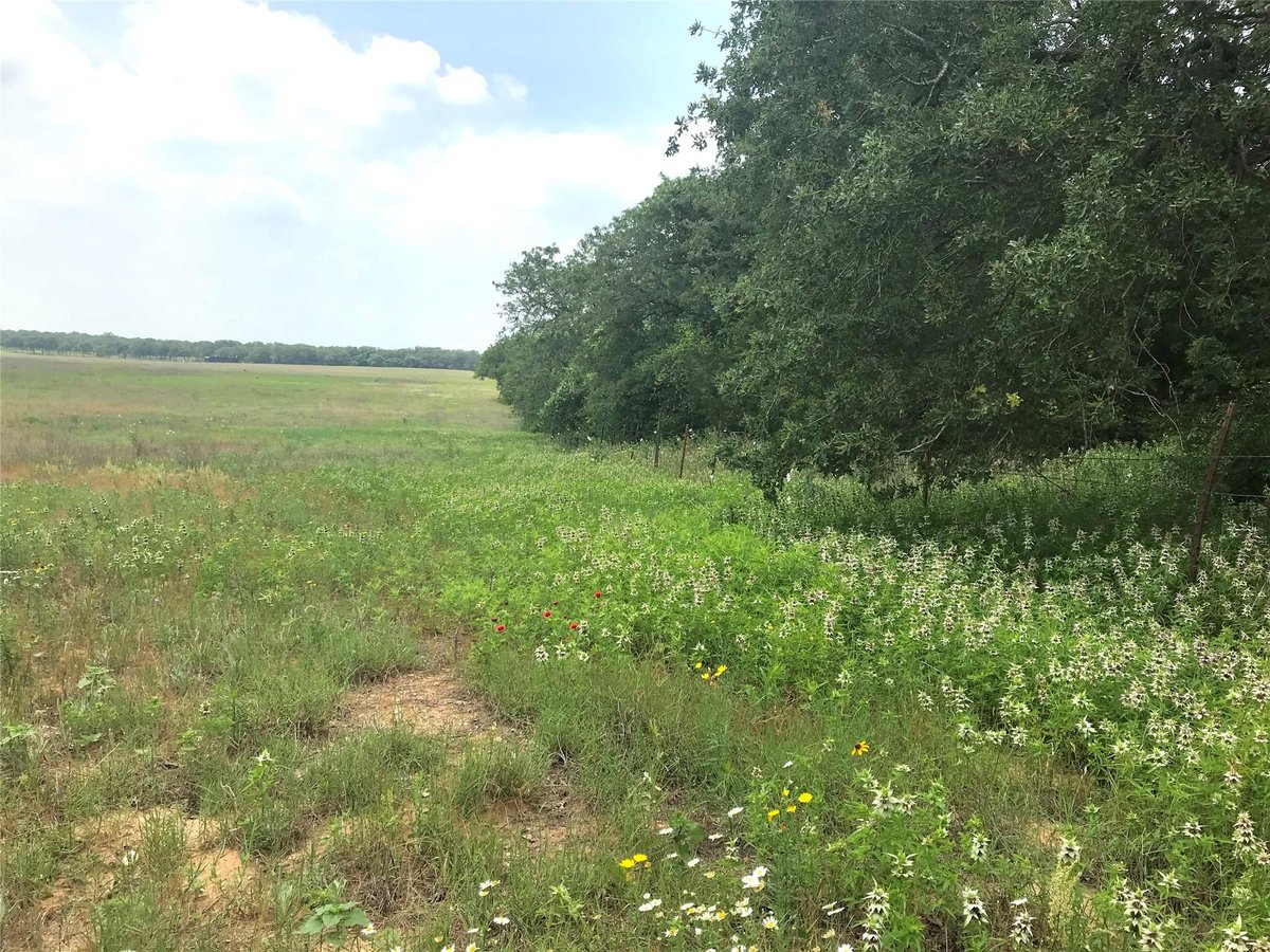 View 1672 Sayers RD in Bastrop 1672 Sayers RD, photo 1 of 35, Bastrop, Bastrop, TX