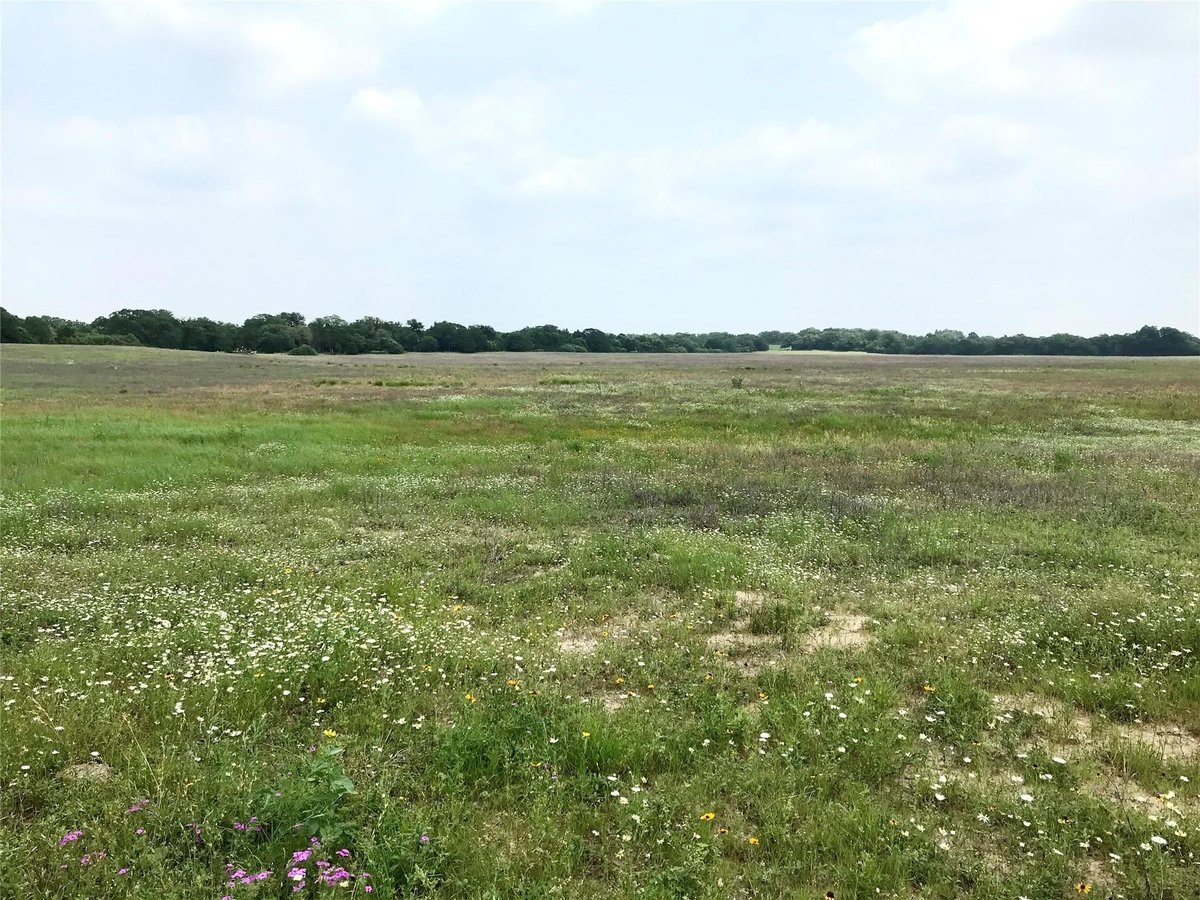 View 1672 Sayers Tract 2 Rd 1672 Sayers Tract 2 Rd - property photo 1 - Luxury home in Bastrop, TX