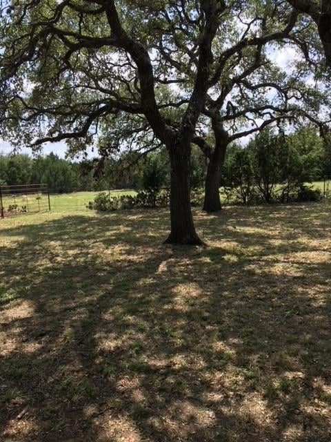 Living area at 1685  Hwy 281 Hwy - 3 bed 2 bath home