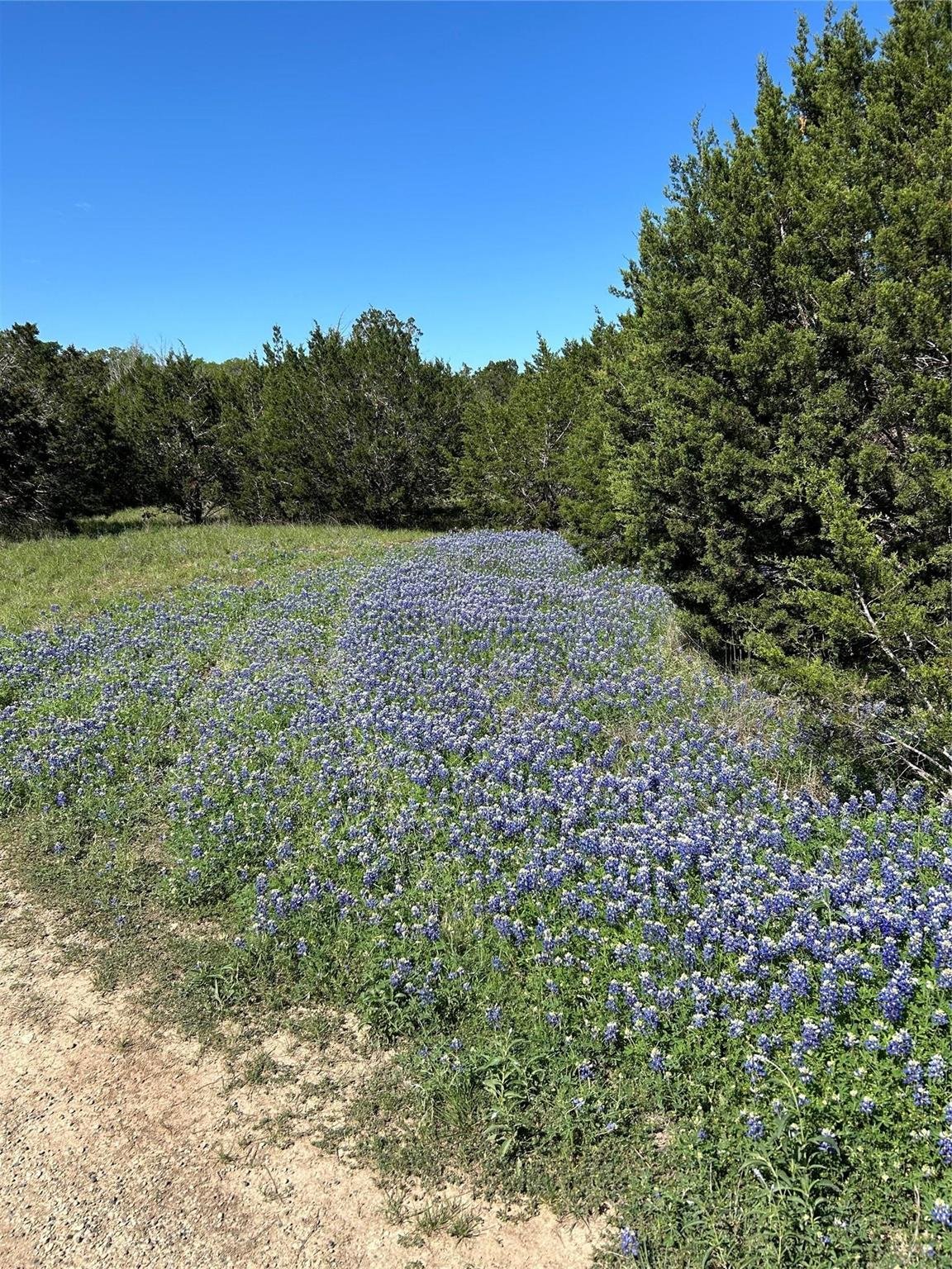 View 17 Heathrow Ln in Woodcreek Sec 12 17 Heathrow Ln - front exterior - Luxury lot in Woodcreek Sec 12, Wimberley, TX