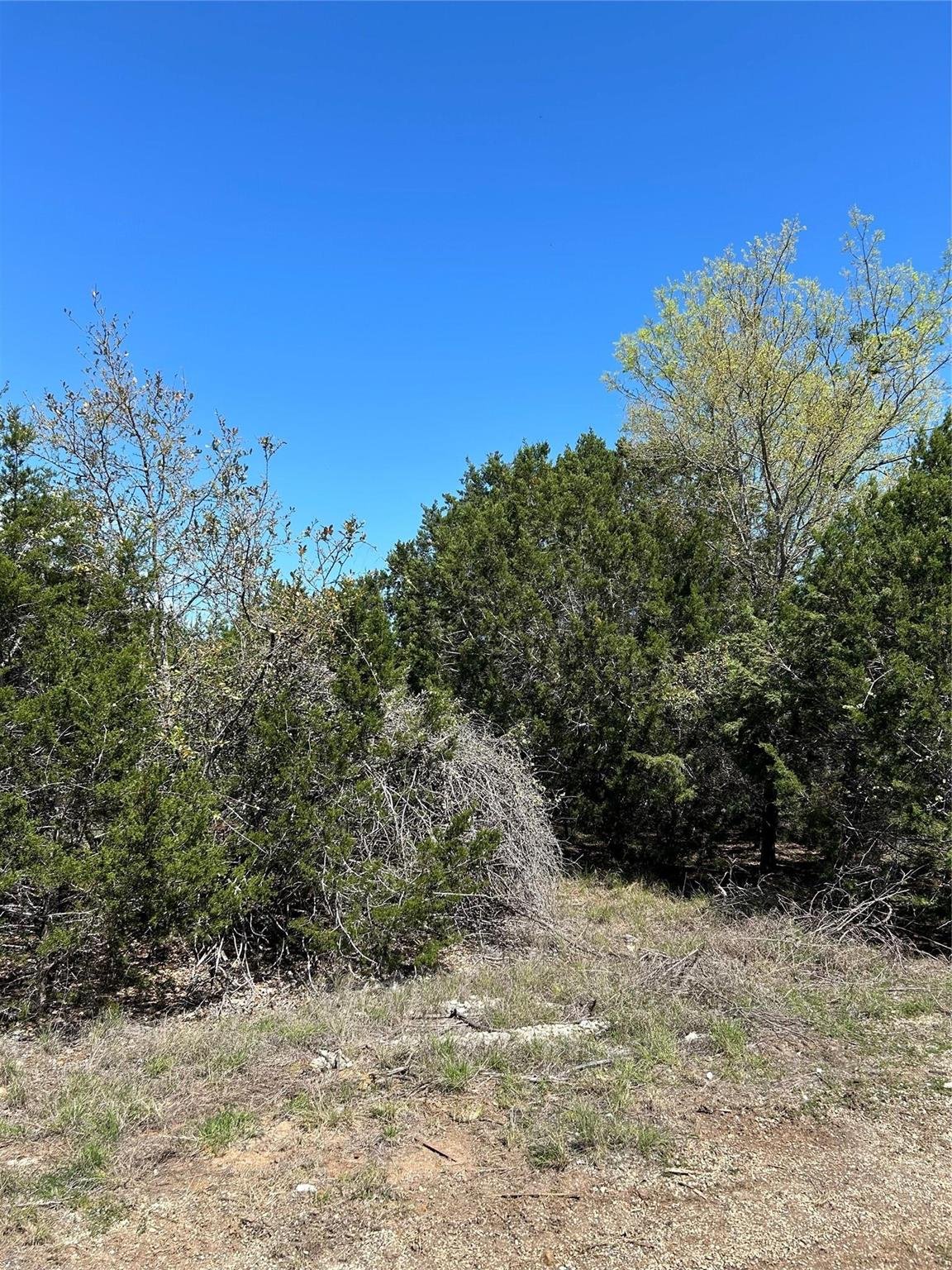 Primary bedroom at 17 Heathrow Ln - Woodcreek Sec 12, Wimberley, TX