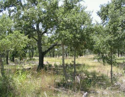 View 17 Pedernales Hills Ranc 17 Pedernales Hills Ranc - front exterior - Luxury lot in Johnson City, TX