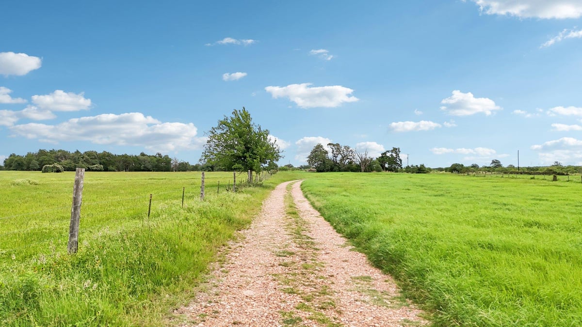 View 170 Zack Ln in Whitesides, Geo W 170 Zack Ln - front exterior - Luxury home in Whitesides, Geo W, Giddings, TX