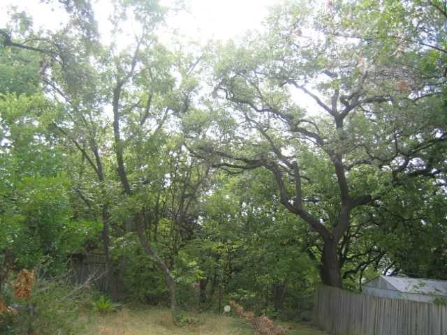 View 1705 Newning Ave in Travis Heights 1705 Newning Ave - property photo 1 - Luxury home in Travis Heights, Austin, TX