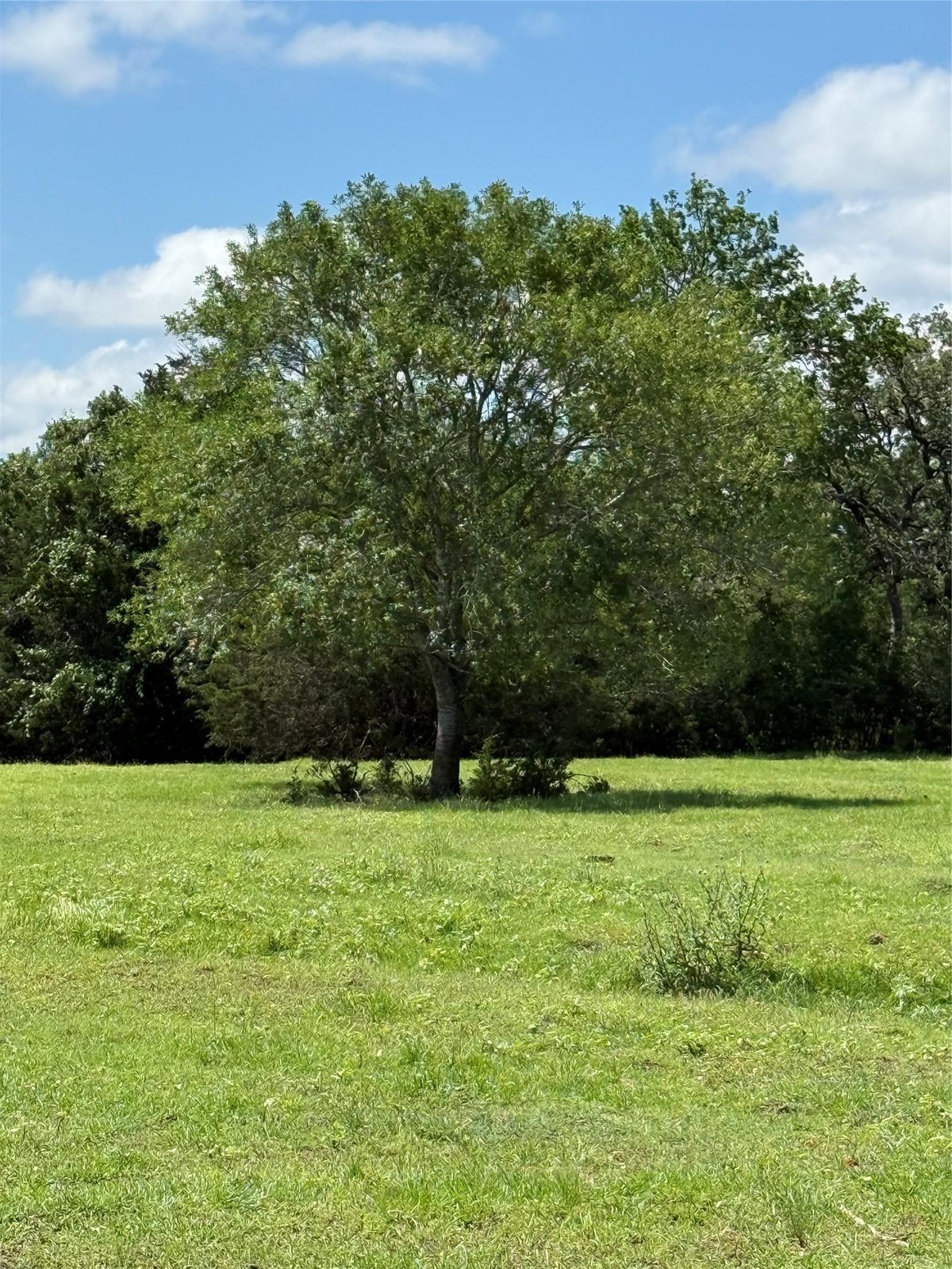View 1749 FM 535 in none 1749 FM 535 - front exterior - Luxury home in none, Smithville, TX