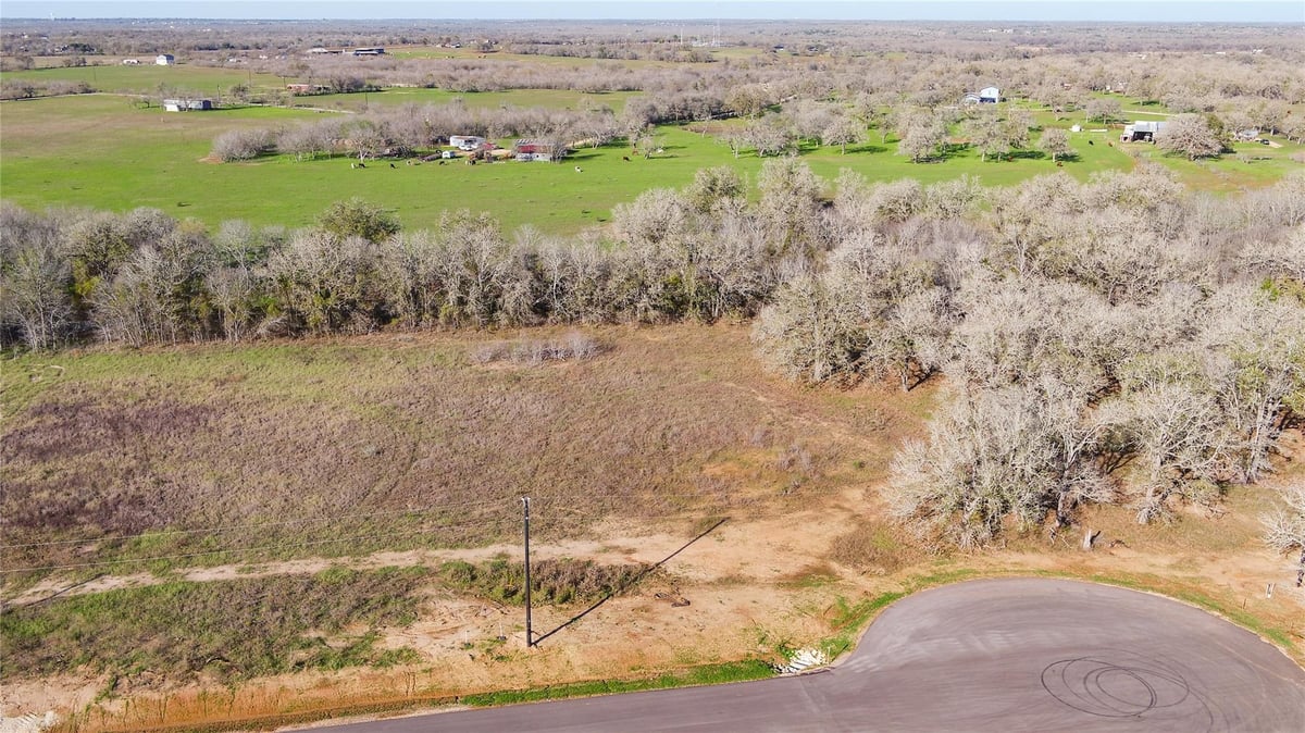 View 175 AZALEA Ct in TUMBLEWEED ESTATES PH 3 175 AZALEA Ct - front exterior - Luxury lot in TUMBLEWEED ESTATES PH 3, Dale, TX