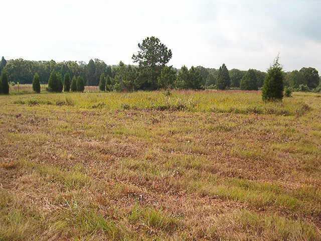 View 1756 Cr. 318 1756 Cr. 318 - front exterior - Luxury home in Lexington, TX