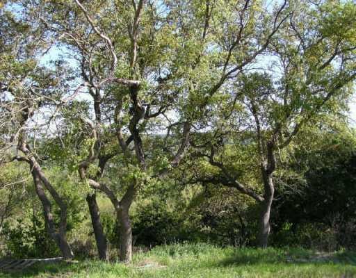 View 17780 Chalet CIR 17780 Chalet CIR - front exterior - Luxury lot in Leander, TX