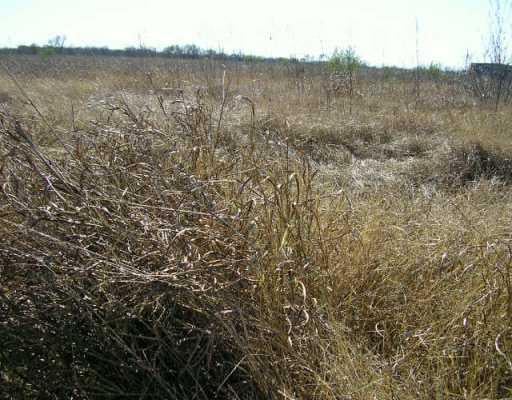 View 180 Westglenn 180 Westglenn - property photo 1 - Luxury lot in Martindale, TX