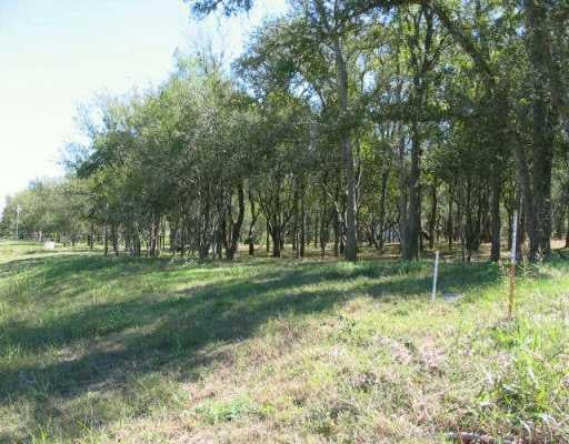 View 181 Sabine 181 Sabine - front exterior - Luxury lot in Cedar Creek, TX