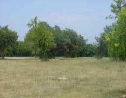 View 1812 Lone Oak 1812 Lone Oak - front exterior - Luxury lot in Leander, TX