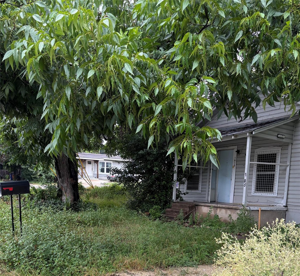 View 1815 Singleton Ave in Glenwood Add 1815 Singleton Ave - front exterior - Luxury home in Glenwood Add, Austin, TX
