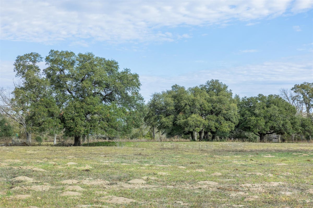 View 1820 South Old Smithville Rd 1820 South Old Smithville Rd - front exterior - Luxury home in Flatonia, TX