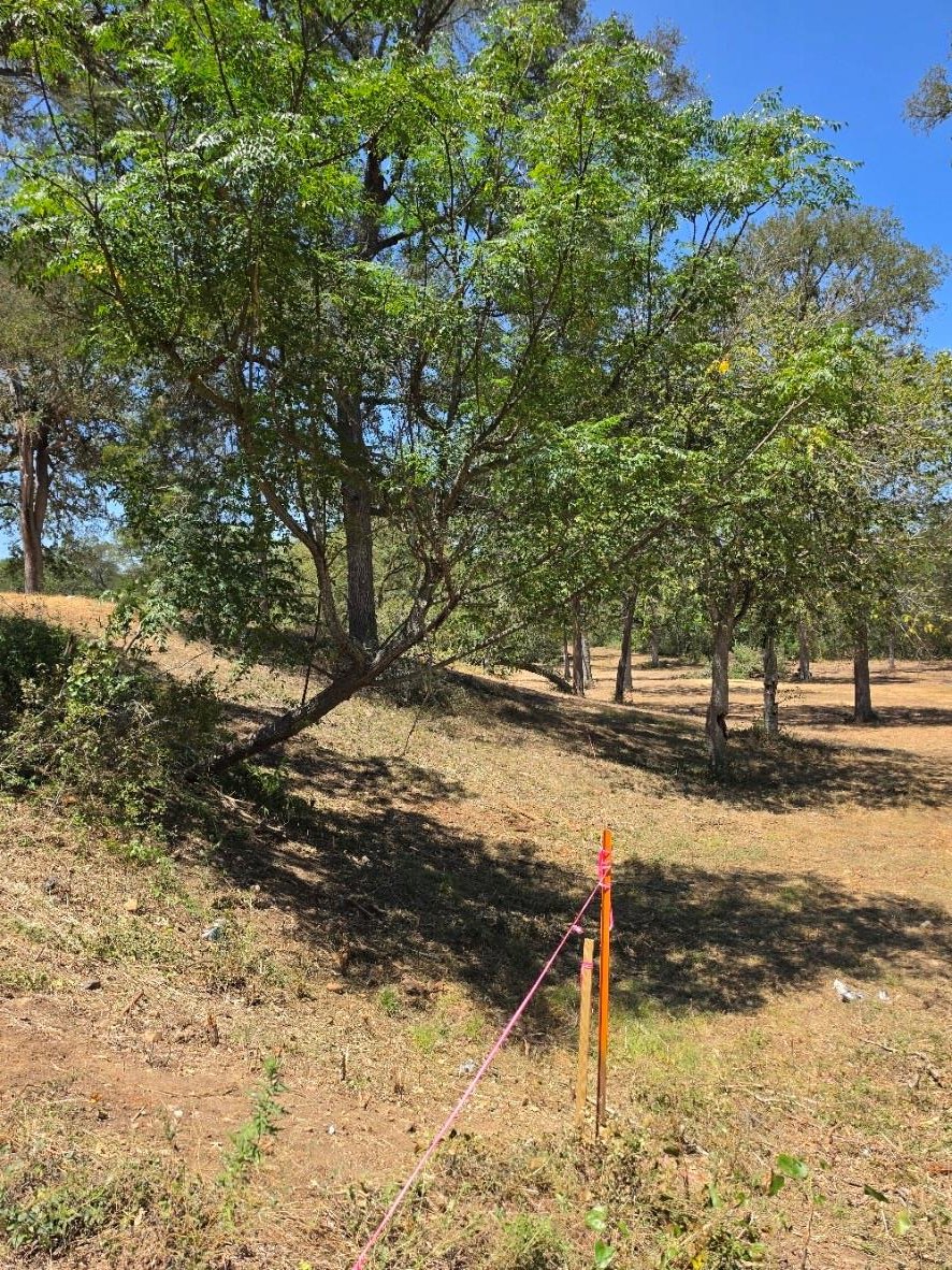 View 183 Wilbarger CV in Wilbarger Creek Estates 183 Wilbarger CV - property photo 1 - Luxury lot in Wilbarger Creek Estates, Elgin, TX