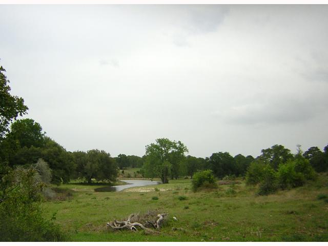 View 1830 Reiss RD 1830 Reiss RD - front exterior - Luxury home in West Point, TX