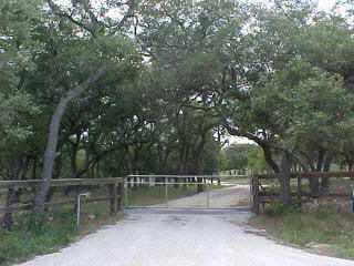 View 18455 RR 12 18455 RR 12 - front exterior - Luxury home in Wimberley, TX