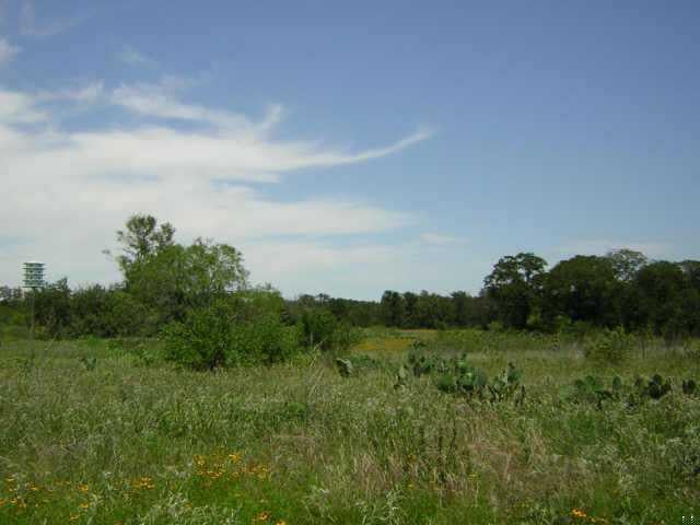 View 1849 FM 969 1849 FM 969 - front exterior - Luxury lot in Elgin, TX