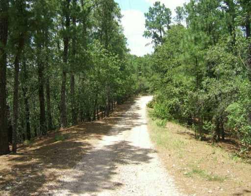 View 185 Majestic Forest TRL 185 Majestic Forest TRL - property photo 1 - Luxury home in Smithville, TX