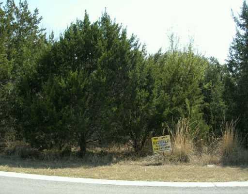 View 18505 Staghorn DR 18505 Staghorn DR - front exterior - Luxury lot in Point Venture, TX