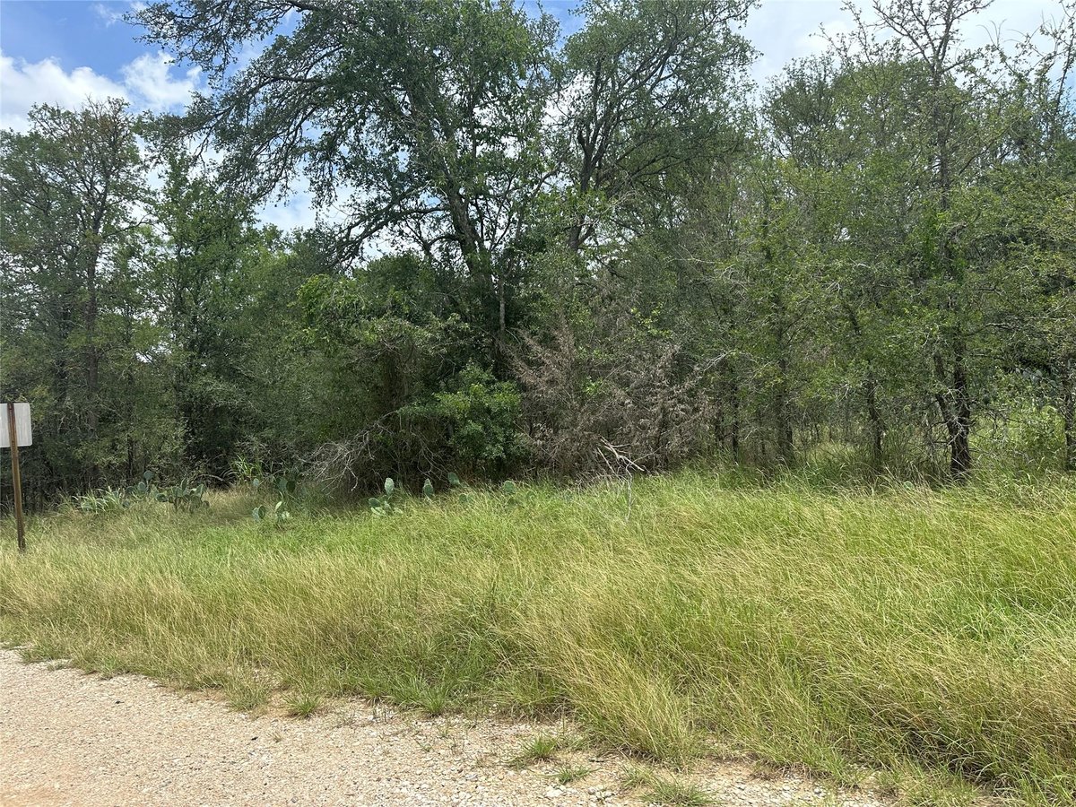 View 189 Puu Waa Waa LN in Tahitian Village, 189 Puu Waa Waa LN - front exterior - Luxury lot in Tahitian Village,, Bastrop, TX
