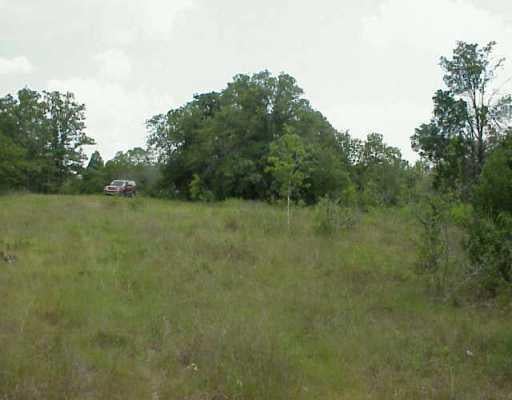 View 189214 Stockade Ranch RD 189214 Stockade Ranch RD - front exterior - Luxury home in Paige, TX