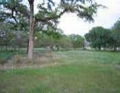 View 190 Salvia 190 Salvia - front exterior - Luxury lot in Driftwood, TX