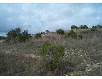 View 1901 Far Gallant in Davenport Ranch Phs 7 Sec 3 1901 Far Gallant - property photo 1 - Luxury lot in Davenport Ranch Phs 7 Sec 3, Austin, TX