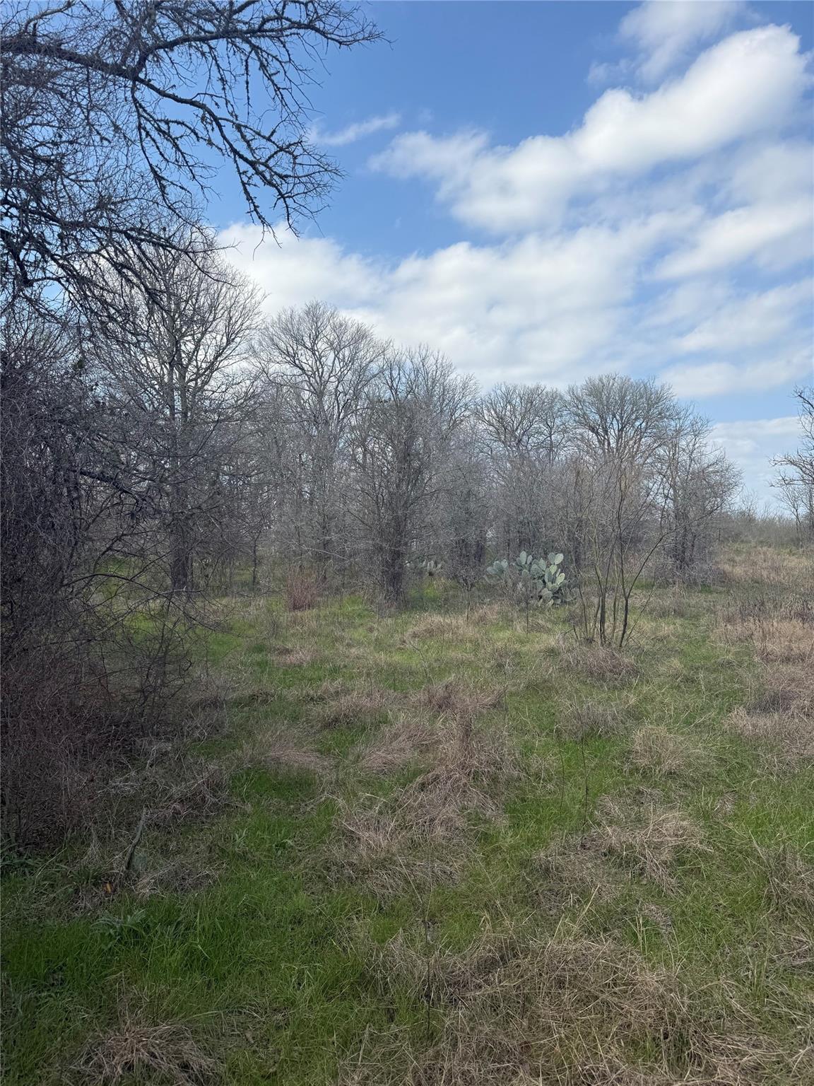 View 1904 Jasper St in Building Blk 1904 Jasper St - property photo 1 - Luxury lot in Building Blk, Bastrop, TX