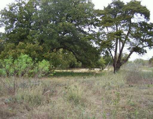 View 19206 Blake-manor RD 19206 Blake-manor RD - front exterior - Luxury home in Manor, TX