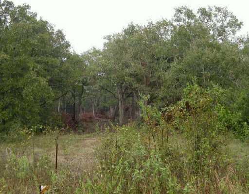 View 195 Ott RD 195 Ott RD - front exterior - Luxury home in Rosanky, TX