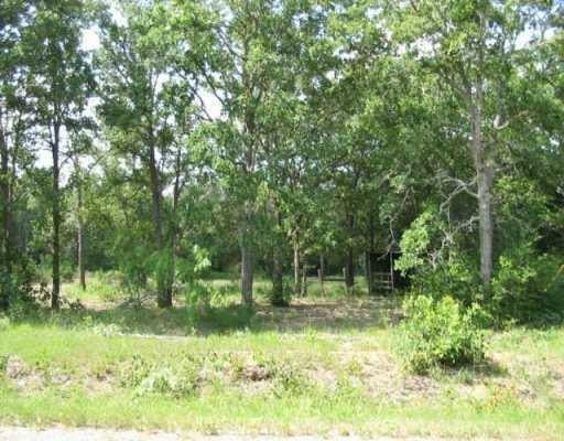View 196 Carissa 196 Carissa - property photo 1 - Luxury lot in Red Rock, TX